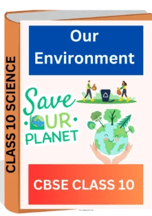 Our Environment CBSE CLASS 10 WORKSHEET