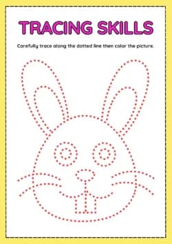 Animal Tracing Worksheet: Perfect Dotted Style 2024
