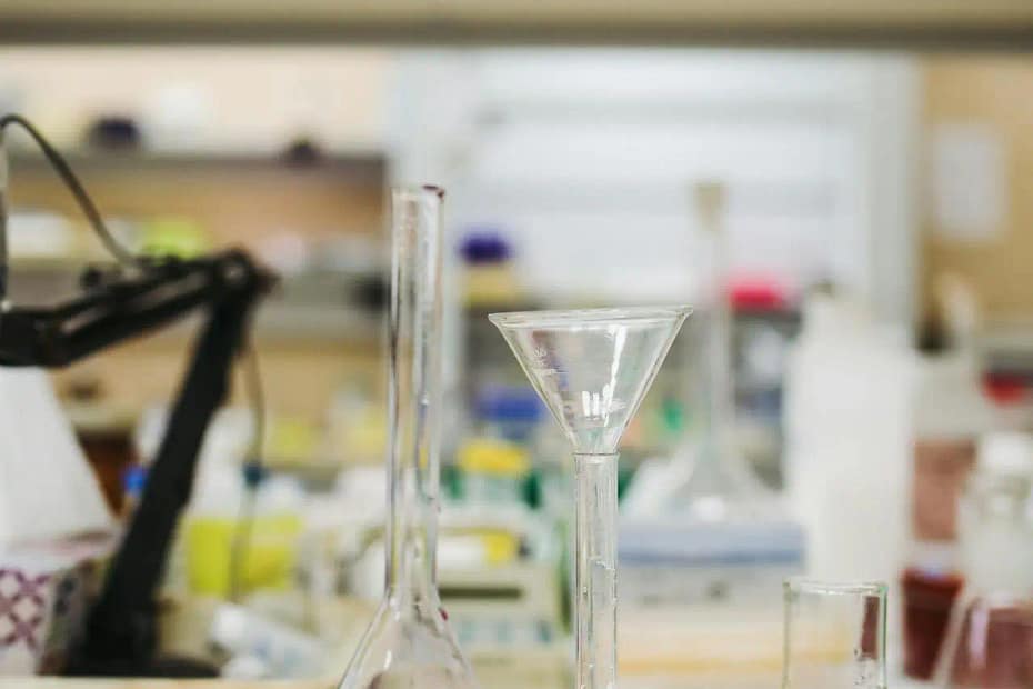 Science experiment in primary clases 2024: A STEP TO FORWARD